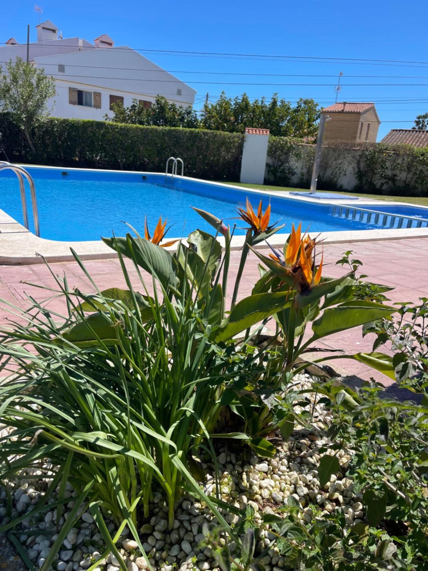 Cala Puntal Apartamento Vinarós Exterior foto