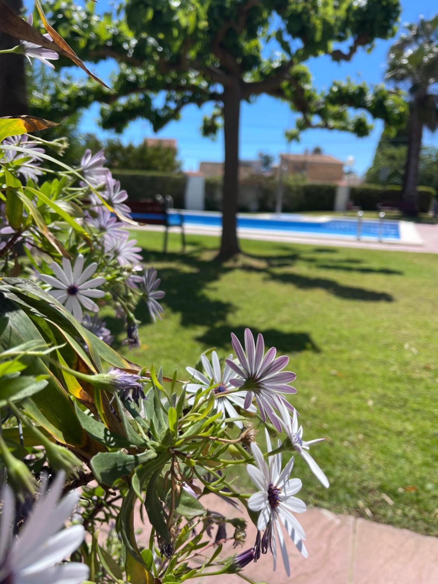 Cala Puntal Apartamento Vinarós Exterior foto